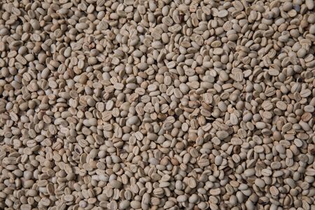 Raw coffee beans, Dried coffee beans background