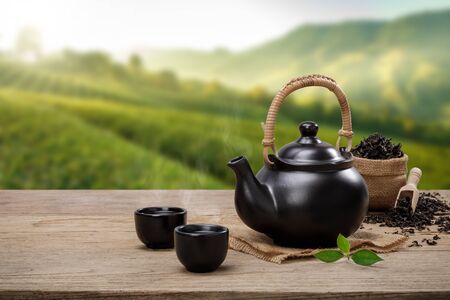 Cup of hot tea with teapot, green tea leaves and dried herbs on the wooden table in plantations background with empty space, Organic product from the nature for healthy with traditionalの写真素材