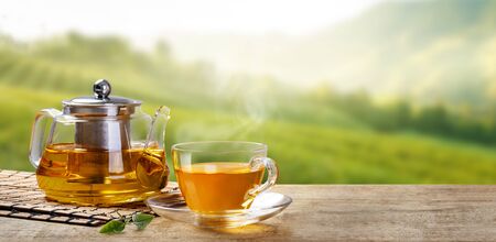 Warm cup of tea with teapot, green tea leaves on the wooden desk at morning in plantations with long banner background empty space for text,Organic product from the nature for healthy with traditionalの写真素材
