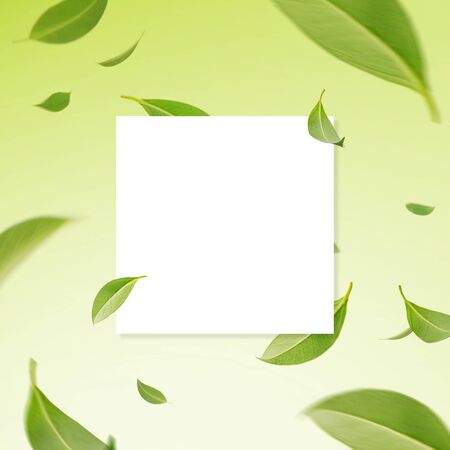 Flying whirl green leaves with copy space mockup templateの写真素材