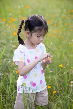 Close-up portrait little asian girl in flower fields.の写真素材