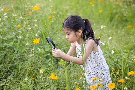 Cute little Asian girl using magnifier glass to look for something inside flower fields.の写真素材