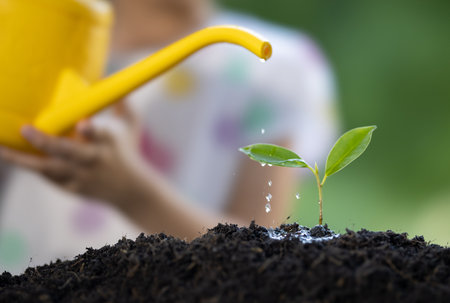 The little girl watering plant the seedlings after planting.の写真素材