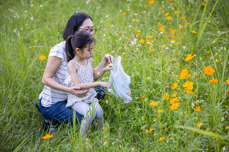 In a flower field, Mother and cute little Asian girl finding  insects in the net.の写真素材