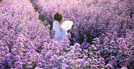 Asian little girl wear a magic ballet fairy costume in beautiful purple of margaret flowers field.