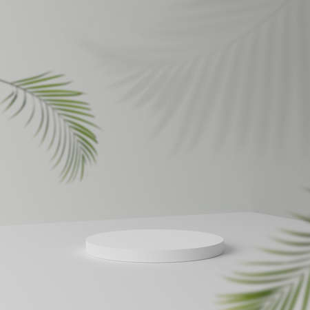 Abstract white round corner pedestal podium with green leaves, Product display podium in room, 3d rendering studio with geometric shapes, Cosmetic product minimal scene with platformの写真素材