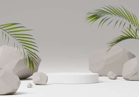 Cosmetic round podium or pedestal with rock and leafs on isolated white background, Abstract product display podium, 3d rendering studio with geometric shapes, Cosmetic product minimal scene with platformの写真素材