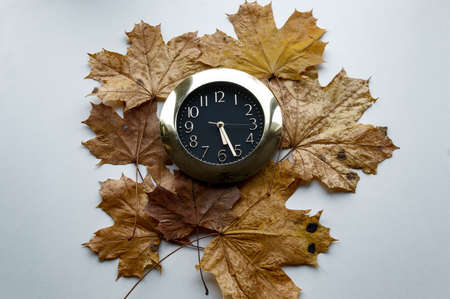 clock on a white background maple leaves autumnの写真素材