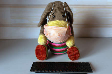 Amigurumi donkey doll in a protective mask during an epidemic at a remote work at a computer keyboard.の写真素材