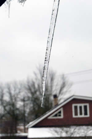 Icicles begin to melt with dripping drops.の写真素材