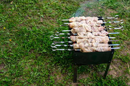 Cooking skewers of nyens on skewers on the grillの写真素材