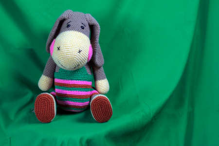 Amigurumi donkey doll on a green background.の写真素材