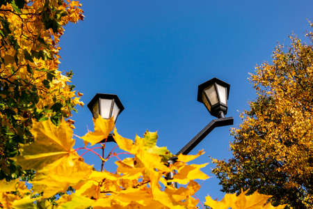 Lanterns in the park yellow foliage blue sky.の写真素材