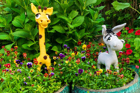 Handmade amigurumi dolls, a yellow giraffe and a gray donkey among the greenery of the garden.の写真素材