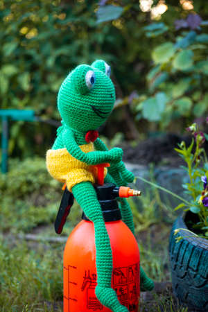 Handmade Amigurumi doll frog fights insect pests in the garden in the summer.の写真素材