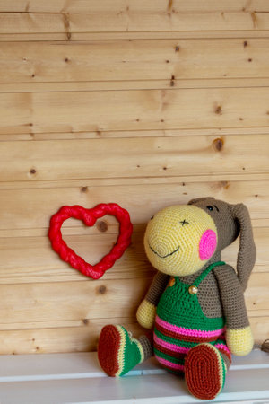 Amigurumi donkey in multi-colored clothes sits.の写真素材