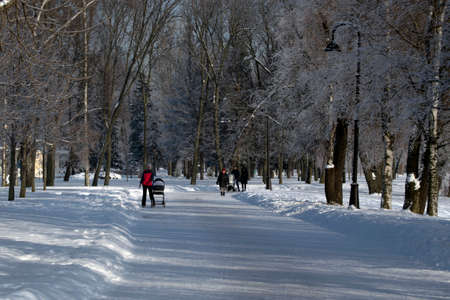 Russia. St. Petersburg. Victory Park. 09 February 2021.のeditorial素材