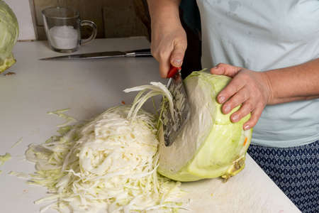 White cabbage shredding and sourdoughの写真素材
