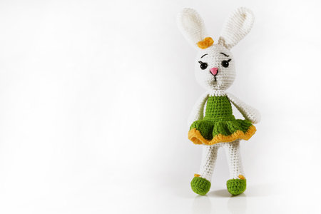 Crocheted handmade amigurumi dolls, soft animal toy. isolate.の写真素材