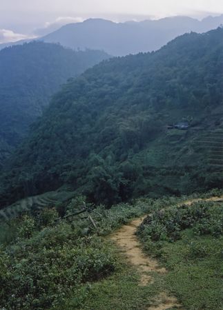 rice terraces cascading off steep valleys in sa pa northern vietnamの写真素材