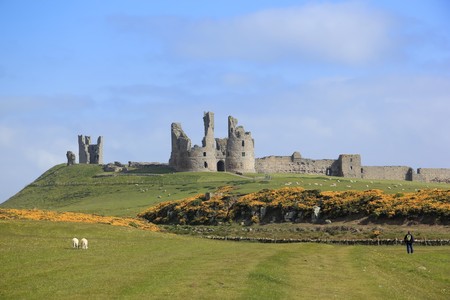 walker looking at the ruins of ancient Dunstanburgh castle on the northumberland coast of englandの写真素材