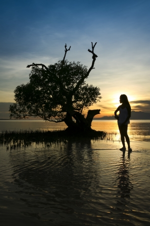 women silhouetted against sunset in a mangrove bay on siquijor island in the philippinesの写真素材
