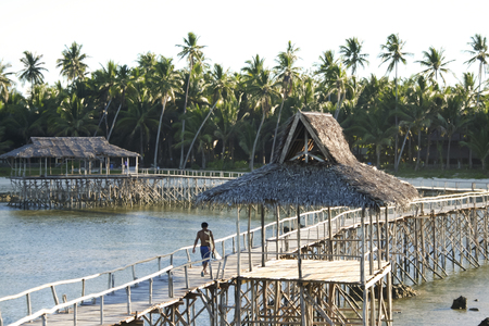 filipino surfer carrying his surfboard from cloud 9 surf break over the reef on raised platformの写真素材