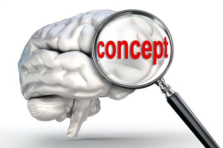concept word on magnifying glass and human brain on white background