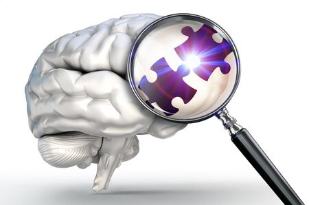 connection puzzle piece on magnifying glass and human brain on white backgroundの写真素材