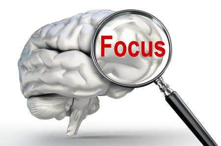 focus word on magnifying glass and human brain on white backgroundの写真素材