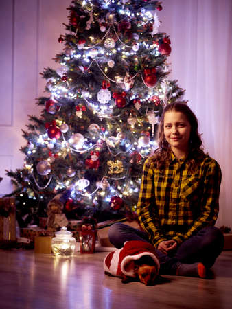 Happy cute girl sitting with little doggy in a beautiful room with a Christmas treeの写真素材
