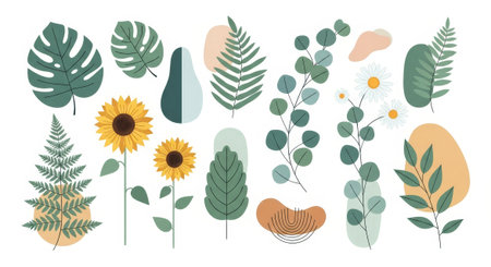 Bring a vibrant and contemporary touch to your designs with this modern floral flat lay. Featuring sunflowers, daisies, and monstera leaves, it's perfect for branding.の素材