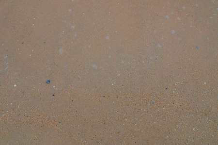 texture sand