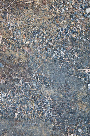 grass dry and Stony ground close up; textureの写真素材