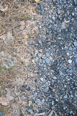 soil and Stony ground close up; textureの写真素材