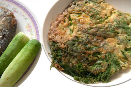 cha-om kai - Acacia Pennata thailand foodの写真素材