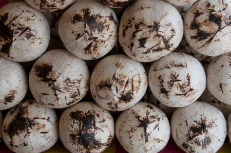The many Burning coconut for eat