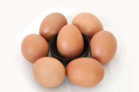 many fresh eggs in white background