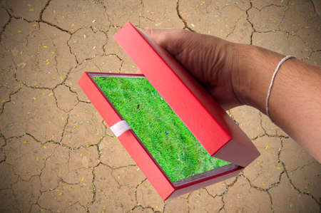 afforest by red box in handの写真素材