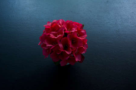 bouquet of pink flowers for decoratedの写真素材