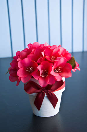 Still life with a pink flowers in potの写真素材
