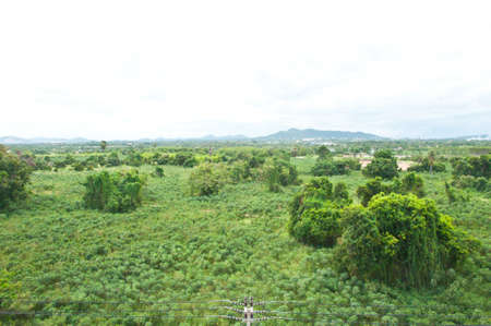 Mountains and forest in Thailandの写真素材