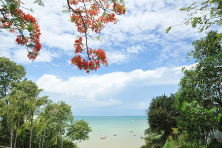 beautiful sea and sky of Thailandの写真素材