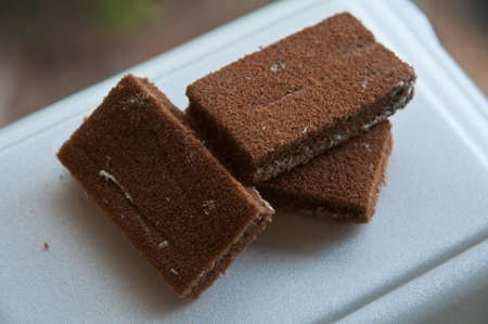 Tree Chocolate Cream Cake.の写真素材