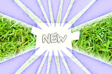 New labels in green grassの写真素材
