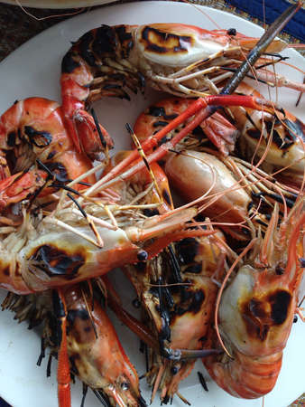 Grilled shrimp on dishの素材