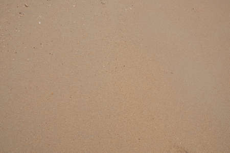 Sand texture  Sandy beach for background  Top viewの写真素材