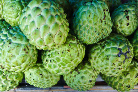 Fresh organic white bulb Custard Apple for sale at a market for farm products in Nakornnayok Thailandの写真素材