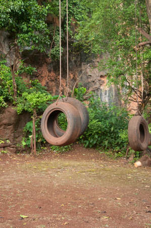 old tire swing hanging in parkの写真素材