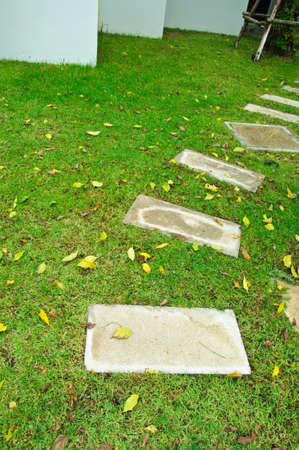 Pathway in the green grassの写真素材